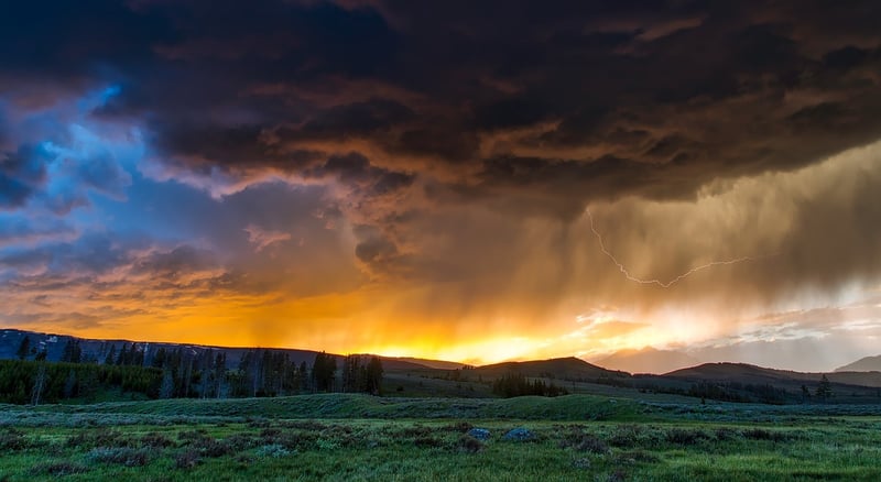 Yellowstone National Park, USA